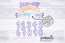 Load image into Gallery viewer, Interchangeable Birthday SVG Cut File